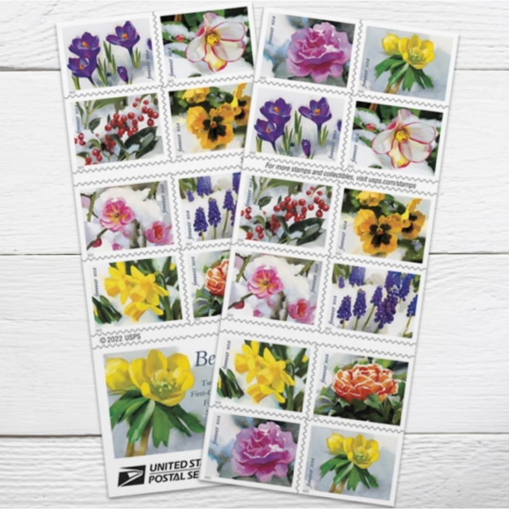 100 Snowy Beauty 2022 Forever Postage Stamps US Postal USPS Christmas Cards Mail